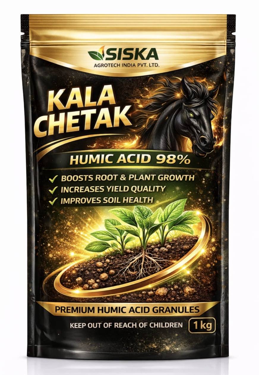 KALA CHETAK HUMIC ACID 500 Gram